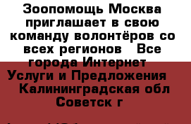 Зоопомощь.Москва приглашает в свою команду волонтёров со всех регионов - Все города Интернет » Услуги и Предложения   . Калининградская обл.,Советск г.